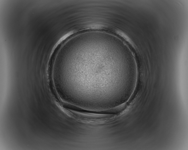 X0000086001026200703300943