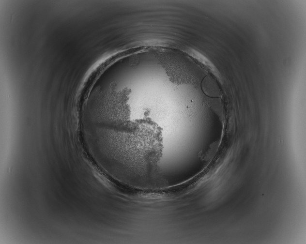 X0000086001027200703300943