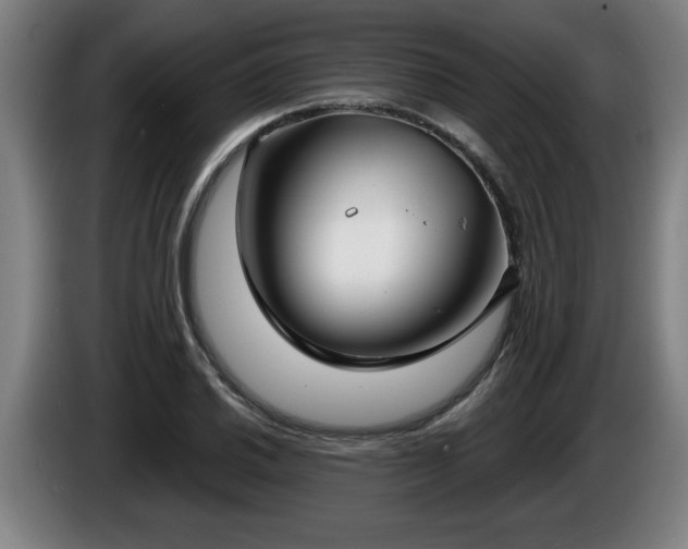 X0000086001030200703300943