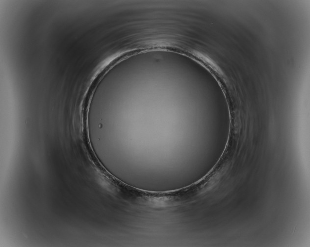 X0000086001031200703300943