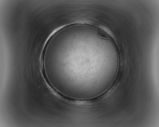 X0000086001032200703300943