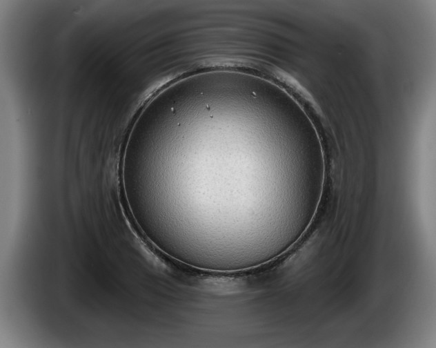 X0000086001033200703300943