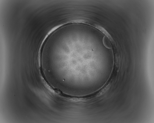 X0000086001036200703300943