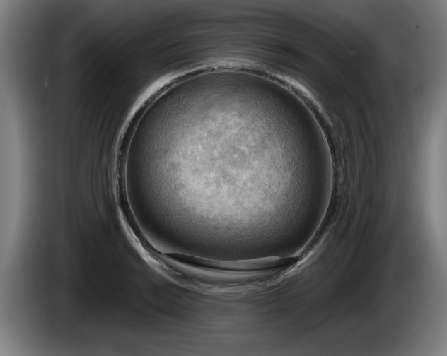 X0000086001038200703300943