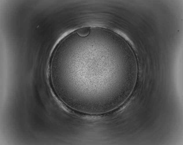 X0000086001040200703300943