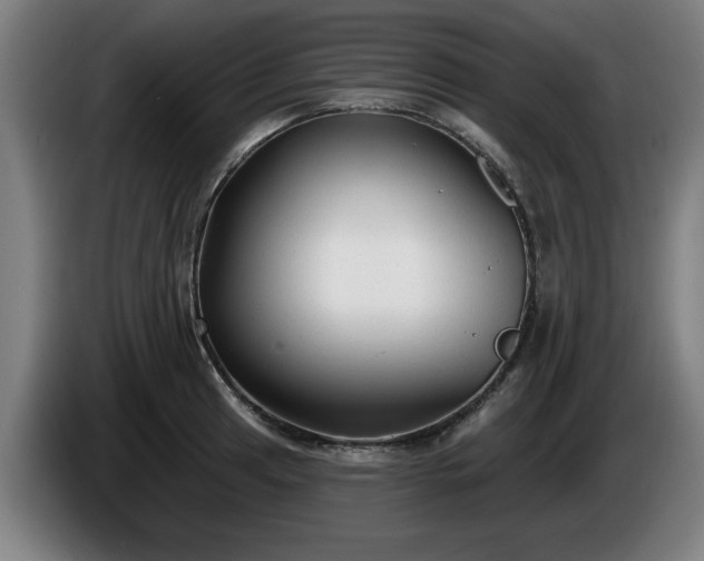 X0000086001041200703300943