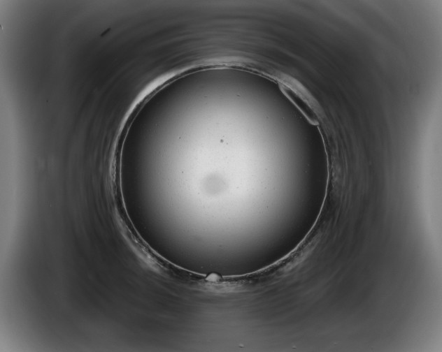 X0000086001044200703300943