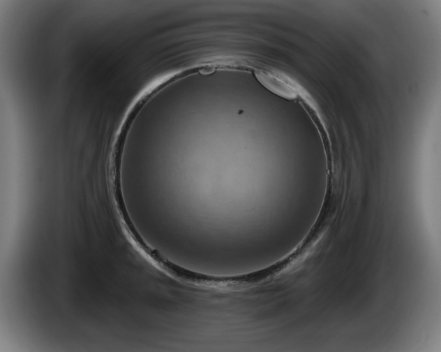 X0000086001045200703300943