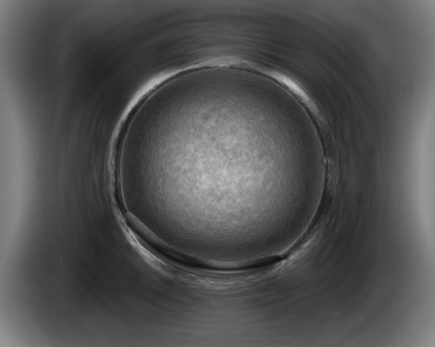 X0000086001046200703300943