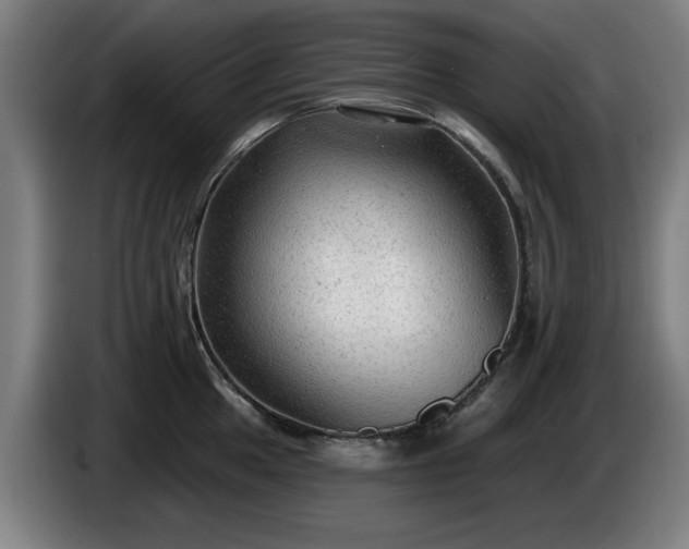 X0000086001049200703300943