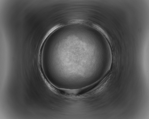 X0000086001050200703300943