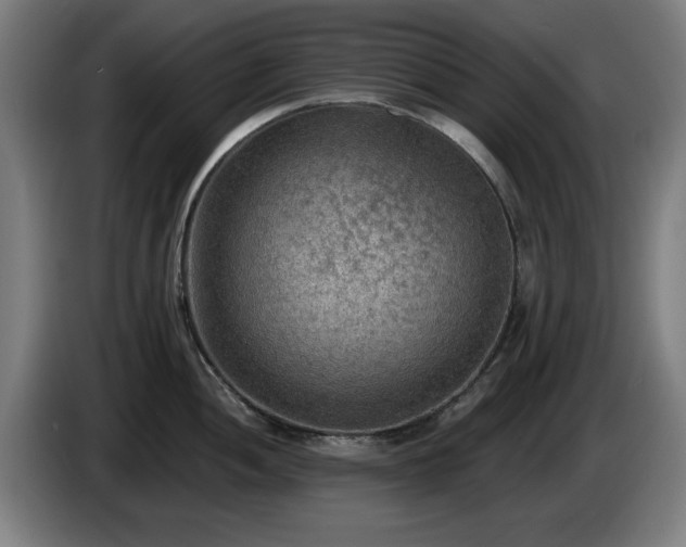 X0000086001052200703300943