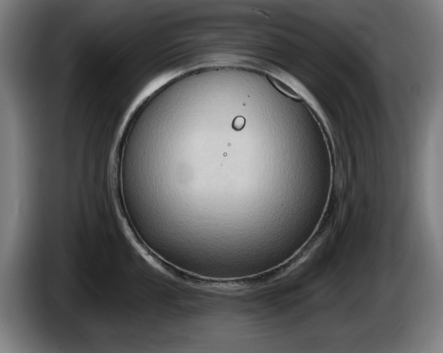 X0000086001053200703300943