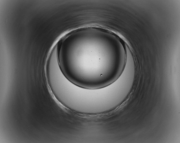 X0000086001054200703300943