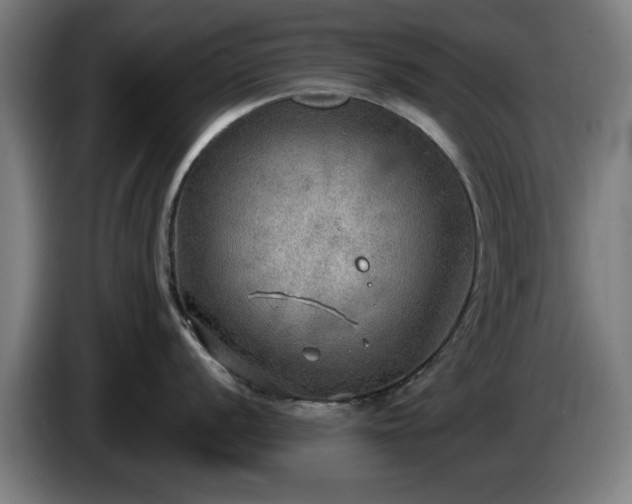 X0000086001056200703300943