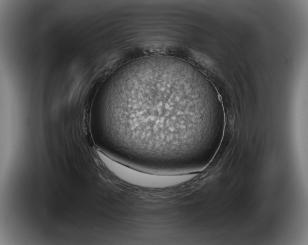 X0000086001060200703300942