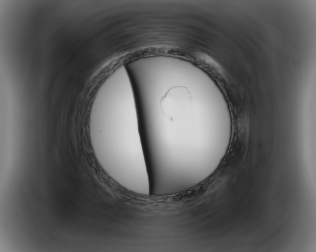 X0000086001064200703300942