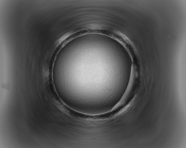 X0000086001065200703300942