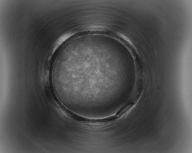 X0000086001066200703300942