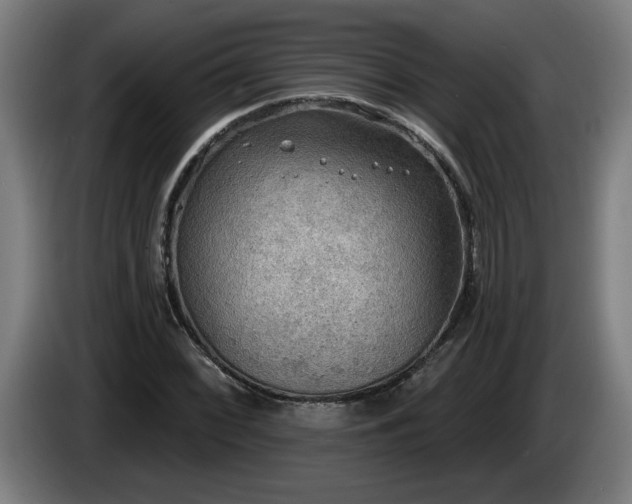 X0000086001068200703300942