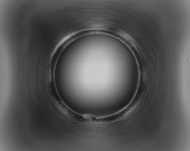 X0000086001069200703300942