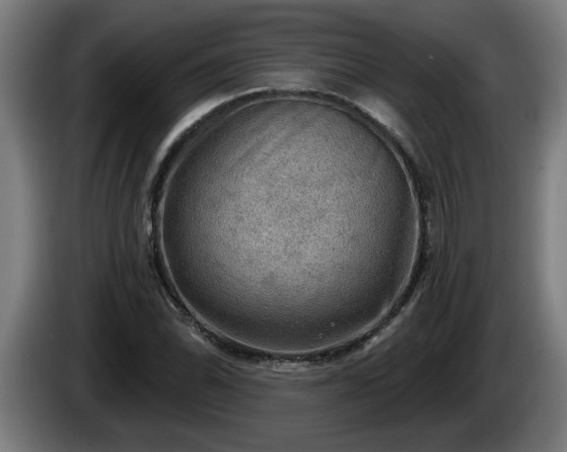 X0000086001070200703300942