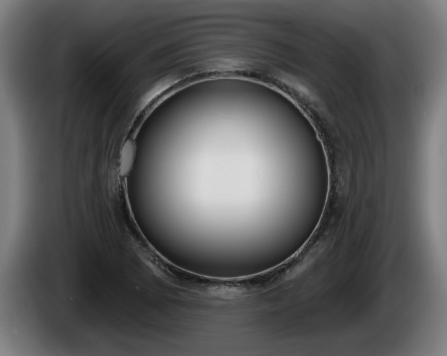 X0000086001073200703300942