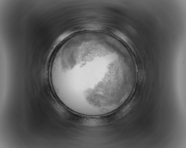 X0000086001074200703300942