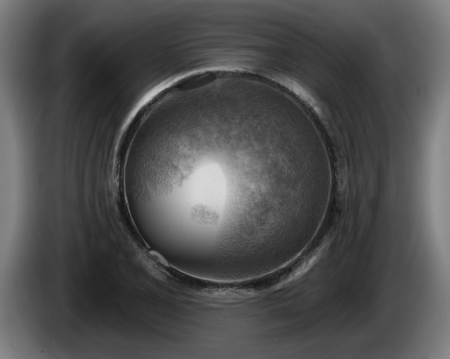 X0000086001077200703300942