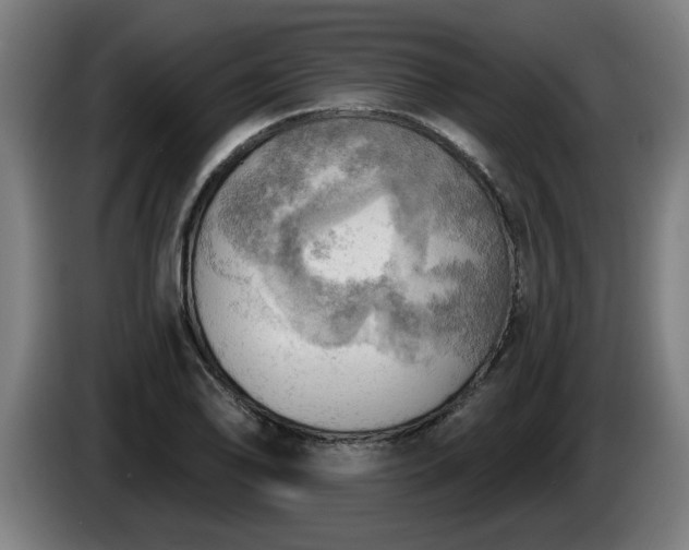 X0000086001078200703300942