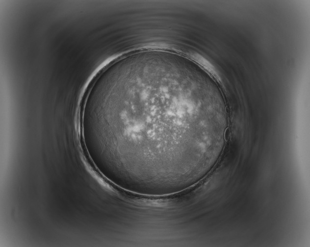 X0000086001084200703300942