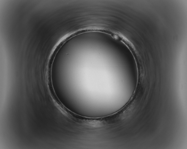 X0000086001085200703300942