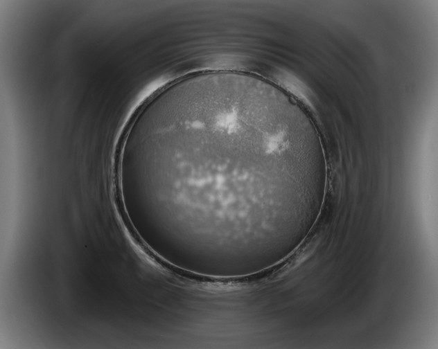 X0000086001087200703300942