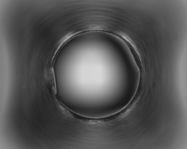 X0000086001089200703300942