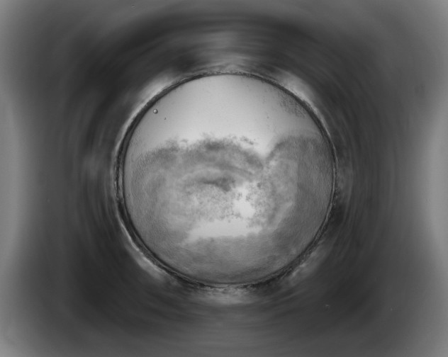 X0000086001090200703300942