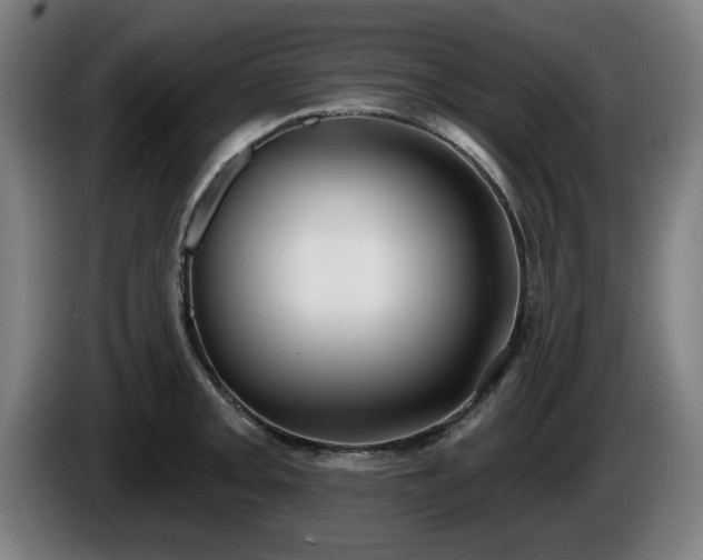 X0000086001093200703300942