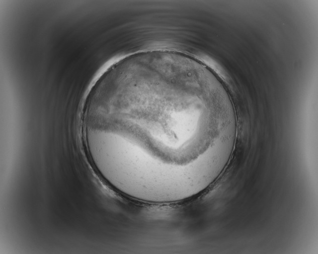 X0000086001094200703300942