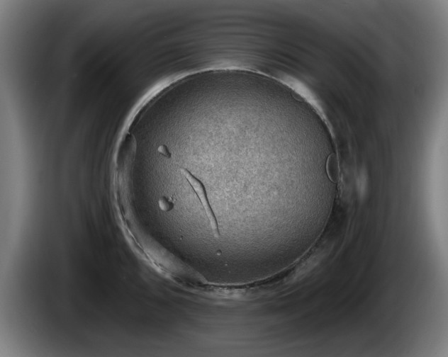 X0000086001096200703300942