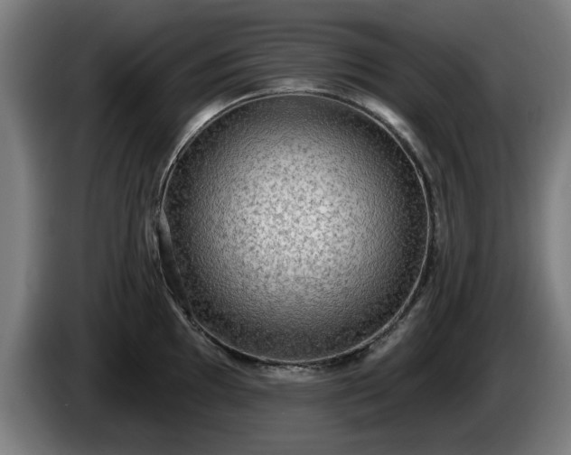 X0000086001097200703300942