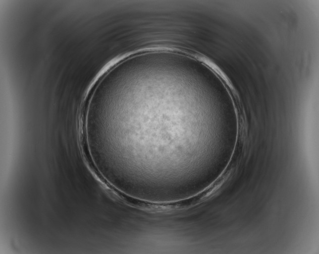 X0000086001101200703300942