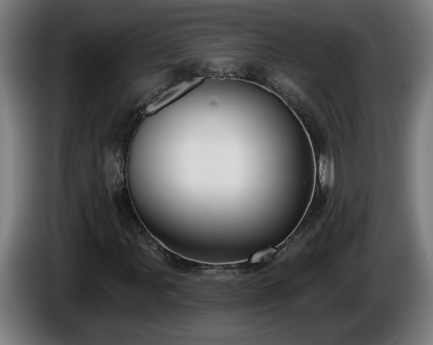 X0000086001107200703300941