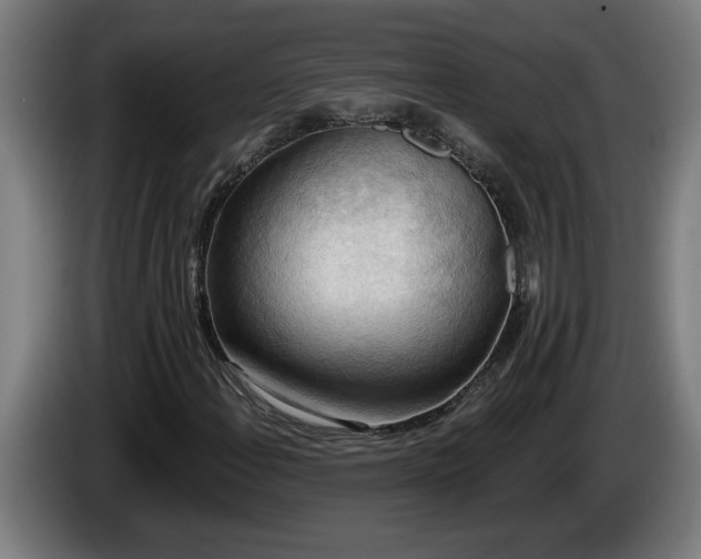 X0000086001108200703300941