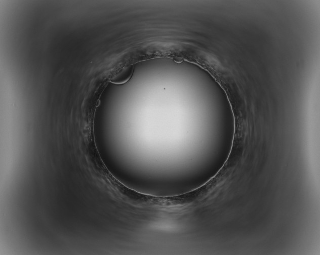 X0000086001109200703300941