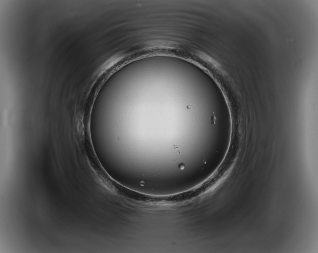 X0000086001113200703300941