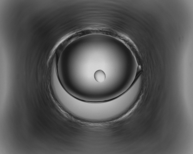 X0000086001114200703300941