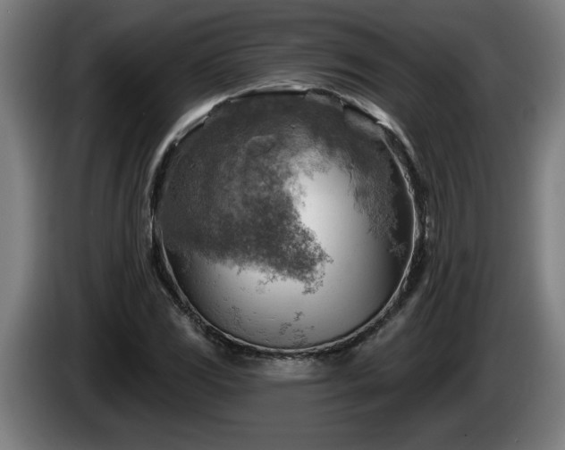 X0000086001117200703300941