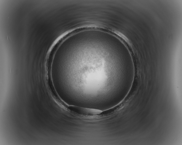 X0000086001120200703300941