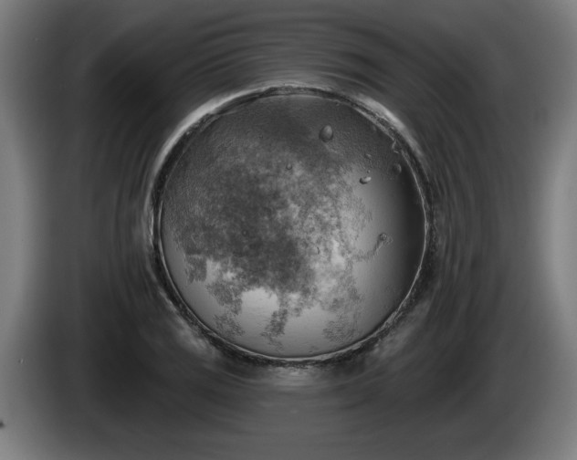 X0000086001125200703300941