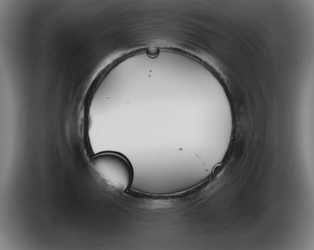 X0000086001126200703300941