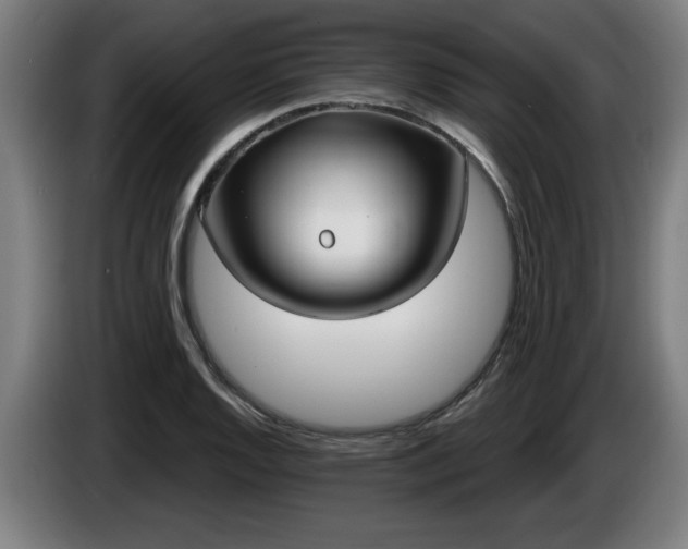 X0000086001128200703300941